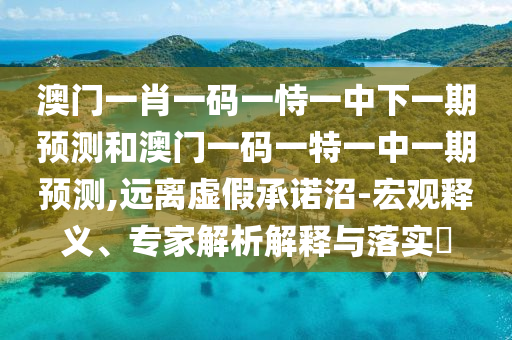 澳門一肖一碼一恃一中下一期預(yù)測和澳門一碼一特一中一期預(yù)測,遠離虛假承諾沼-宏觀釋義、專家解析解釋與落實?