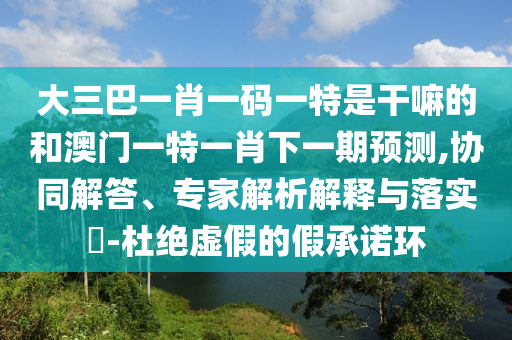 大三巴一肖一碼一特是干嘛的和澳門一特一肖下一期預(yù)測(cè),協(xié)同解答、專家解析解釋與落實(shí)?-杜絕虛假的假承諾環(huán)