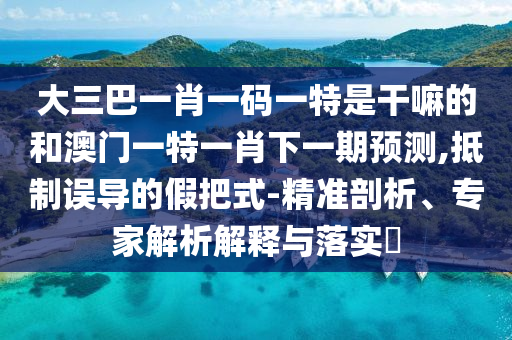 大三巴一肖一碼一特是干嘛的和澳門一特一肖下一期預(yù)測(cè),抵制誤導(dǎo)的假把式-精準(zhǔn)剖析、專家解析解釋與落實(shí)?