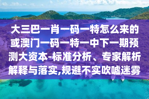 大三巴一肖一碼一特怎么來的或澳門一碼一特一中下一期預測大資本-標準分析、專家解析解釋與落實,規避不實吹噓迷霧
