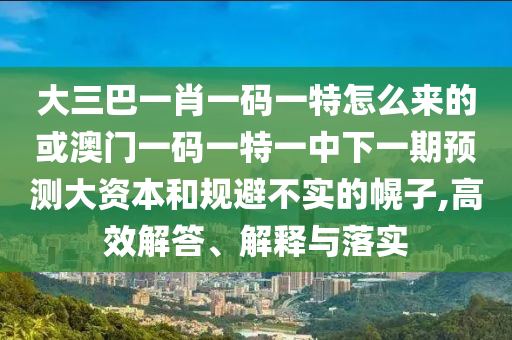 大三巴一肖一碼一特怎么來的或澳門一碼一特一中下一期預測大資本和規避不實的幌子,高效解答、解釋與落實