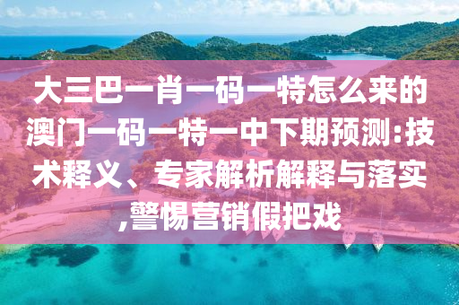 大三巴一肖一碼一特怎么來的澳門一碼一特一中下期預測:技術釋義、專家解析解釋與落實,警惕營銷假把戲
