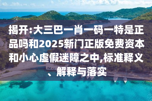 揭開:大三巴一肖一碼一特是正品嗎和2025新門正版免費資本和小心虛假迷障之中,標準釋義、解釋與落實