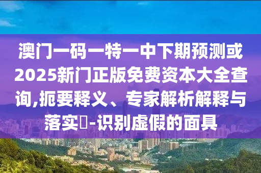 澳門一碼一特一中下期預測或2025新門正版免費資本大全查詢,扼要釋義、專家解析解釋與落實?-識別虛假的面具